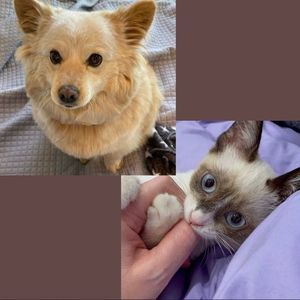 ✨Meet the Management✨